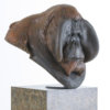 Orangutan Bust "Old Man of the Woods" by John Michael