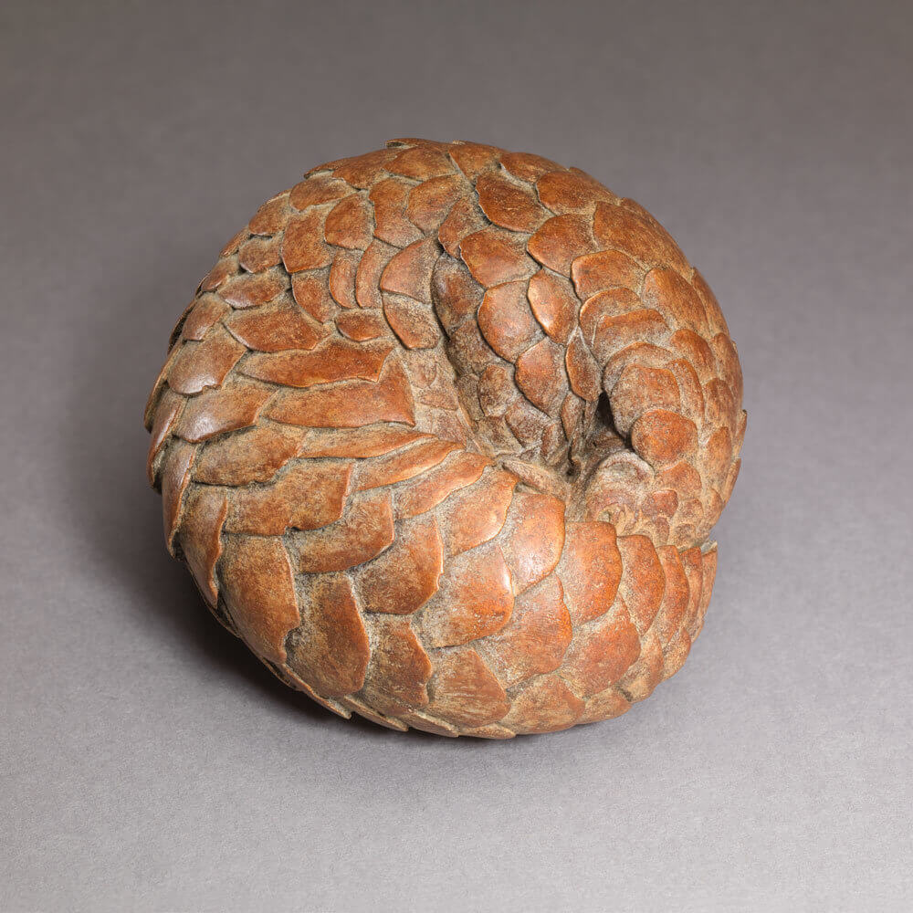 PANGOLIN 01 Pangolin