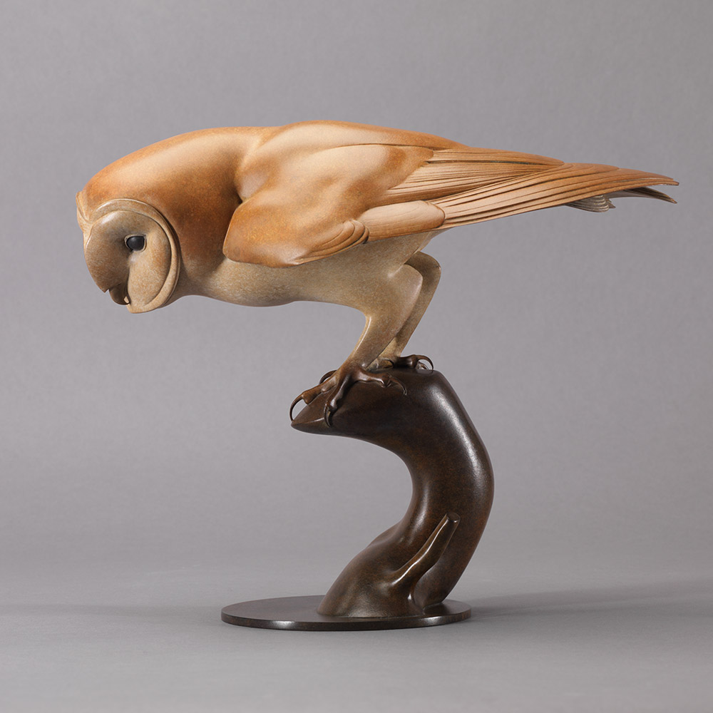 Barn Owl by John Michael