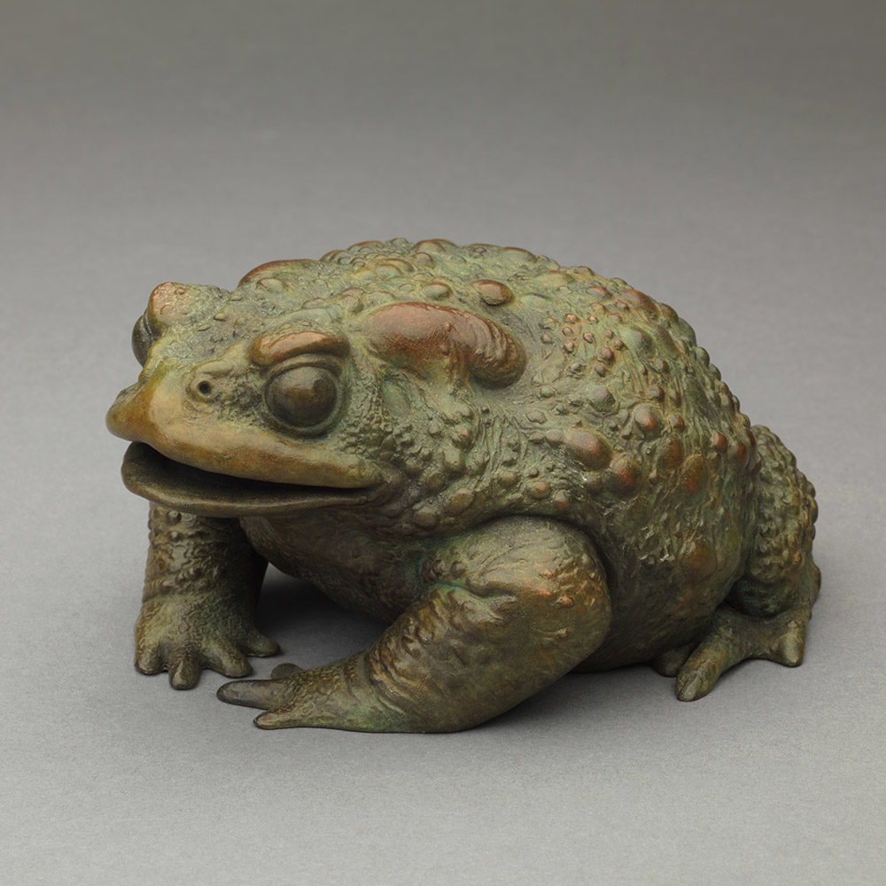 Lucky Toad by John Michael