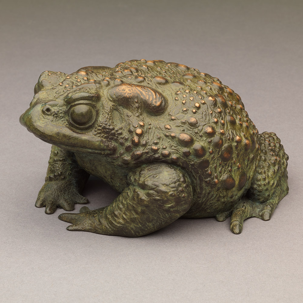Toad II by John Michael